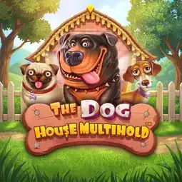 The Dog House Multihold game at Winshark Casino for Australian players